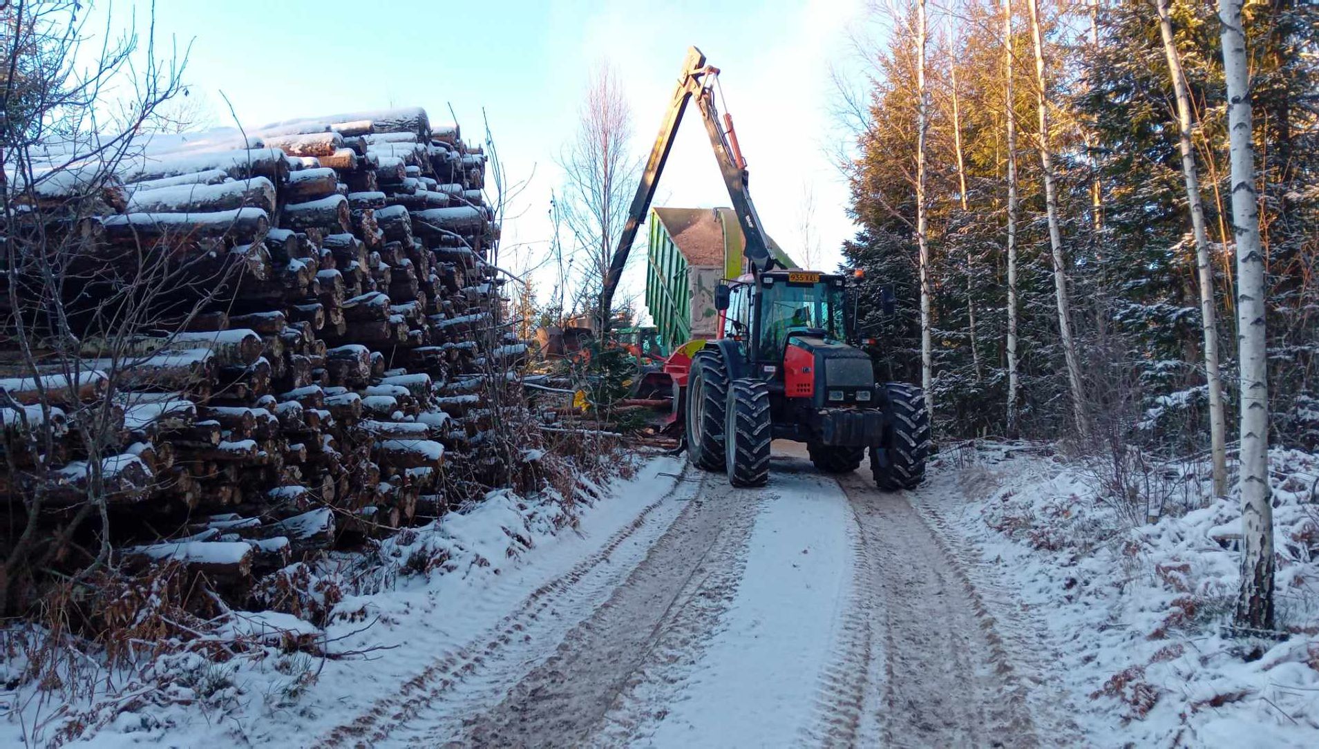 Talvinen metsämaisema, jossa on lumipeitteinen tie, iso puukasa vasemmalla, traktori perävaunulla keskellä ja metsää oikealla. Aurinko paistaa ja valaisee maisemaa.